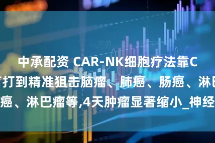 中承配资 CAR-NK细胞疗法靠CAR雷达逆袭,从盲打到精准狙击脑瘤、肺癌、肠癌、淋巴瘤等,4天肿瘤显著缩小_神经_抗癌_研究