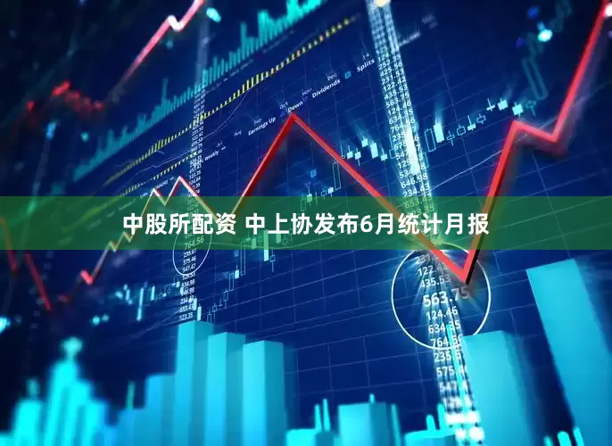 中股所配资 中上协发布6月统计月报
