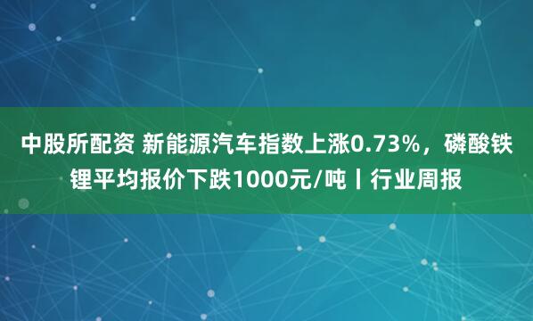 中股所配资 新能源汽车指数上涨0.73%,磷酸铁锂平均报价下跌1000元/吨丨行业周报